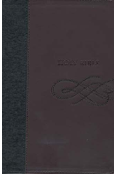 King James Study Bible