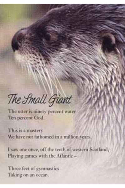 'The Small Giant' notecard