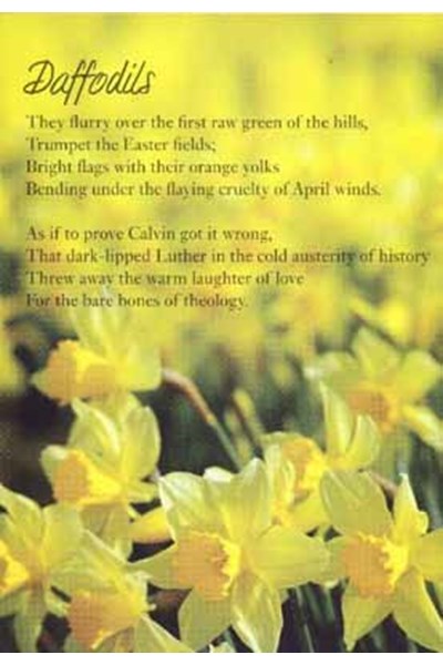 'Daffodils' notecard