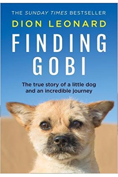 Finding Gobi