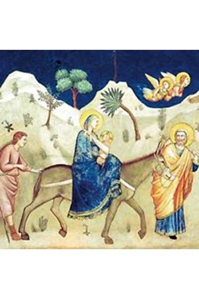 8 Charity Christmas Cards