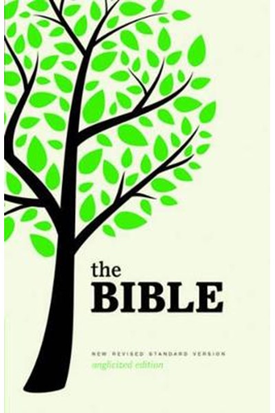 New Revised Standard Version Bible