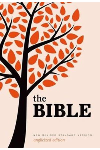 New Revised Standard Version Bible: Popular Text Edition