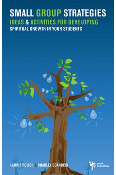 Small Group Strategies