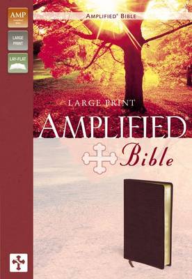 Amplified Bible