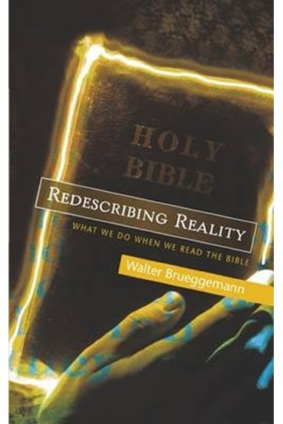 Redescribing Reality