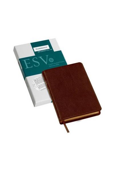 ESV Pitt Minion Reference Bible, Brown Calfsplit Leather, Red Letter Text ES444:XR