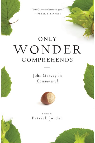 Only Wonder Comprehends