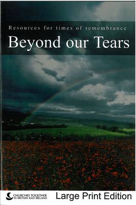 Beyond Our Tears (Large Print edition)