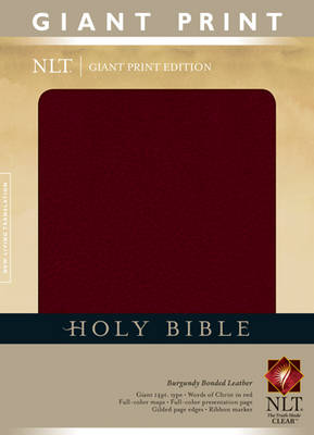 Giant Print Bible-NLT