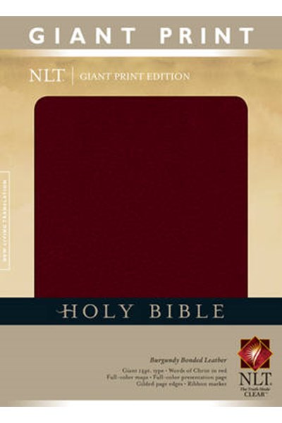 Giant Print Bible-NLT