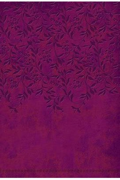 Women of Faith Devotional Bible-NKJV