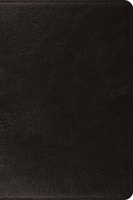 ESV Large Print Bible