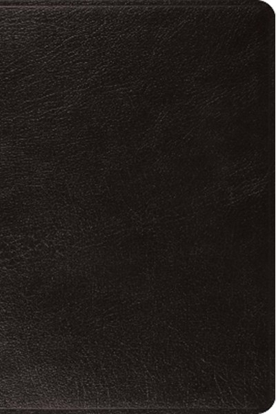 ESV Large Print Bible