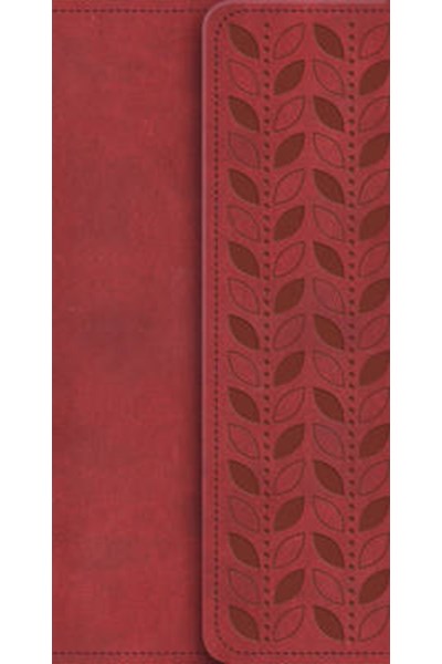 NIV Diary Cherry Soft-Tone Bible with Clasp