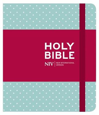 NIV Journalling Bible