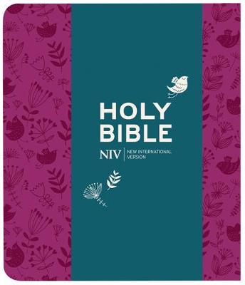 NIV Journalling Bible