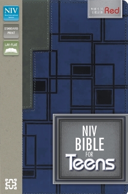 NIV Bible for Teens Charcoal/Blue Duo Tone
