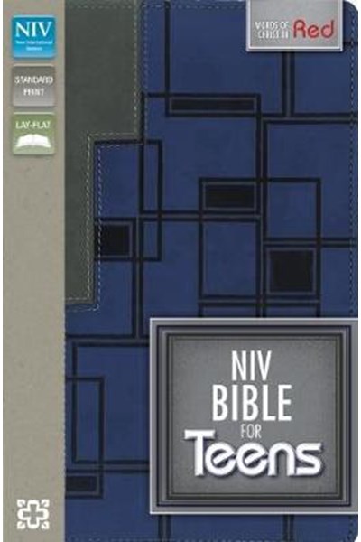 NIV Bible for Teens Charcoal/Blue Duo Tone