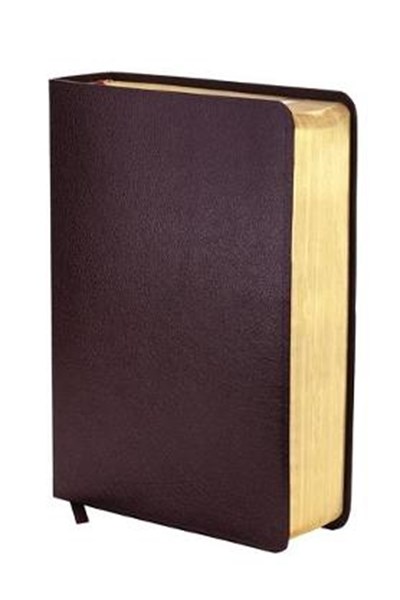 NIV Study Bible Burgundy Bonded Leather