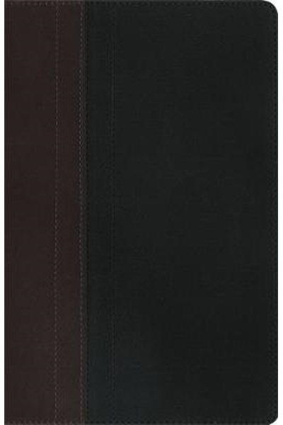 NIV Study Bible Brown/Tan Duo-Tone Personal Size