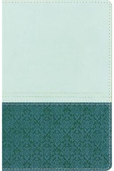 NIV Study Bible Brown/Tan Duo-Tone Personal Size