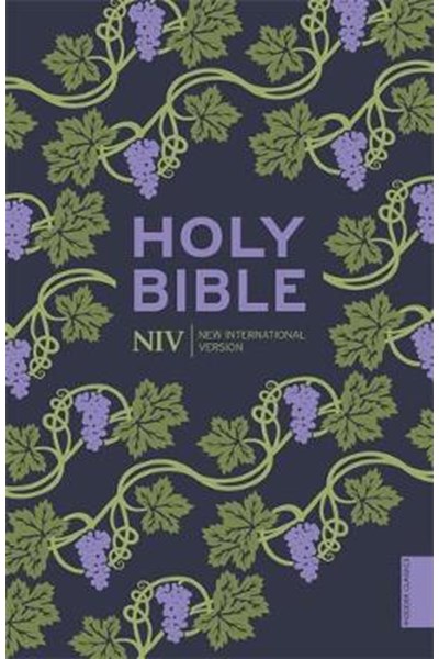 NIV Holy Bible (Hodder Classics)