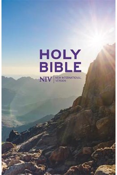 NIV Thinline Value Hardback Bible