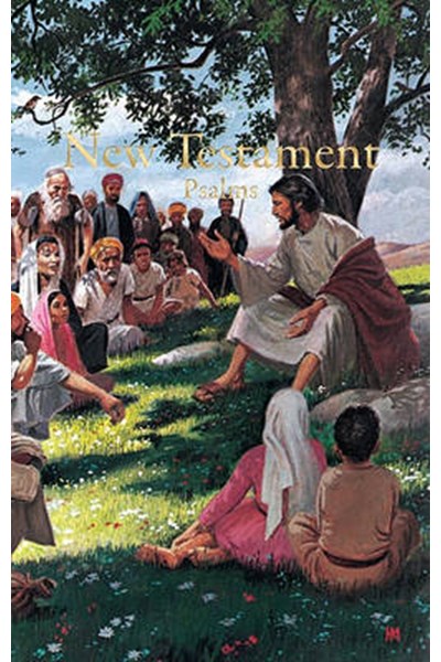 Bible Kjv Economy New Testament S/C White