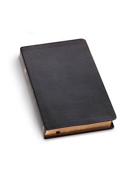 Message Bible-MS-Numbered