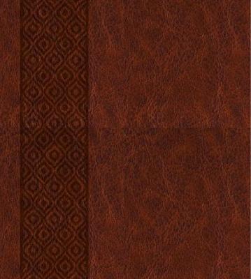 KJV Expressions Bible