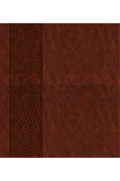 KJV Expressions Bible